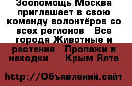 Зоопомощь.Москва приглашает в свою команду волонтёров со всех регионов - Все города Животные и растения » Пропажи и находки   . Крым,Ялта
